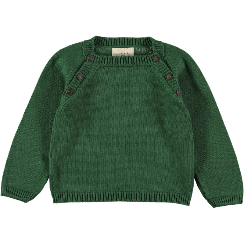 JERSEY PUNTO VERDE BOSQUE BEBE